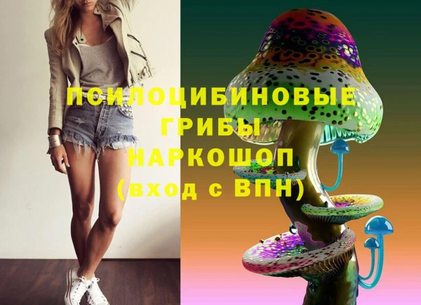 альфа пвп Медногорск
