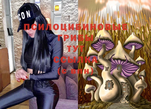 альфа пвп Медвежьегорск