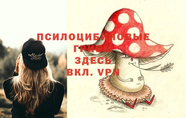 2c-b Михайловск