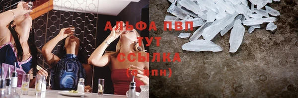 прущие грибы Мегион