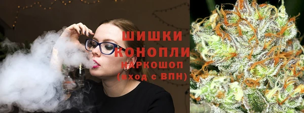 прущие грибы Мегион