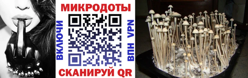 darknet как зайти  купить   Ноябрьск  Псилоцибиновые грибы GOLDEN TEACHER 